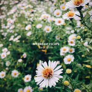 动漫女被❌❌❌喷水
