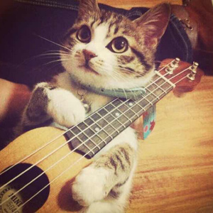 动漫女被❌❌❌喷水
